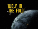 Wolf in the Fold