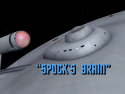 Spock's Brain