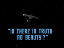 Is There In Truth No Beauty?